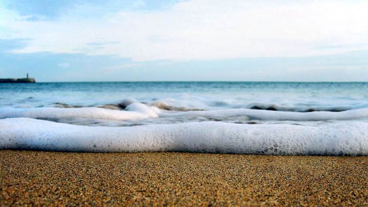 Foamy Ocean Wave